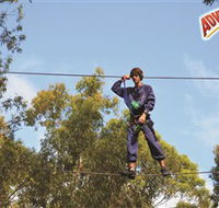 Adventure Parc at Currumbin Wildlife Sanctuary - Inverell Accommodation