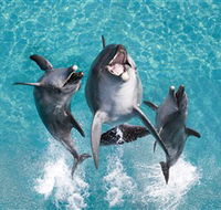 Sea World - Inverell Accommodation