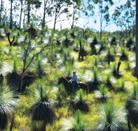 Bicentennial National Trail - Section 5 - Inverell Accommodation