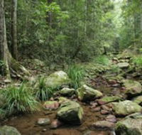 Amamoor State Forest - Inverell Accommodation