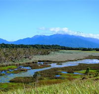 Eubenangee Swamp National Park - Inverell Accommodation