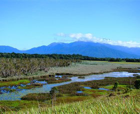 Eubenangee Swamp National Park - Inverell Accommodation 0