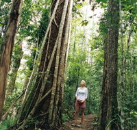 Wet Tropics - Inverell Accommodation