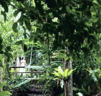 Flecker Botanic Gardens - Inverell Accommodation