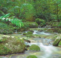 Mossman Gorge Daintree National Park - Inverell Accommodation