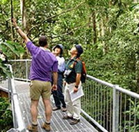 Daintree Discovery Centre - Inverell Accommodation
