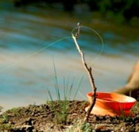 Charleville - Mangalore Warrego River Fishing Spot - Inverell Accommodation