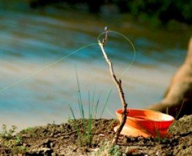 Charleville - Mangalore Warrego River Fishing Spot - Inverell Accommodation 0