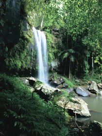 Tamborine QLD Inverell Accommodation