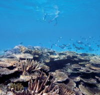 Australian Institute of Marine Science - Inverell Accommodation