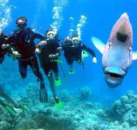 Gotham City Dive Site - Inverell Accommodation
