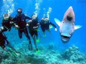 Gotham City Dive Site - Inverell Accommodation 0