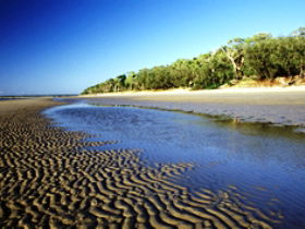 Burrum Coast National Park - Inverell Accommodation 0