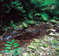 Wompoo Walk - Inverell Accommodation