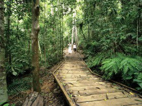 Lake Barrine Circuit Track, Crater Lakes National Park - Inverell Accommodation 0