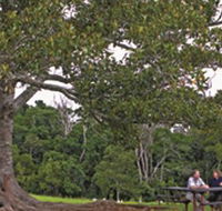 Ravensbourne National Park - Inverell Accommodation