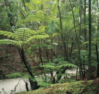 Fraser Island Great Walk - Inverell Accommodation