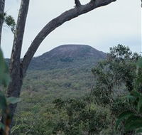 Mount Fox - Inverell Accommodation
