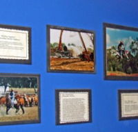 Town Hall Photographic Display - Inverell Accommodation