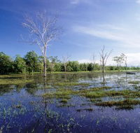 Tyto Wetlands - Inverell Accommodation