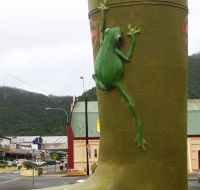 Golden Gumboot - Inverell Accommodation
