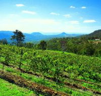 Preston Peak Wines - Inverell Accommodation