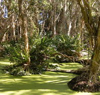 Arkarra Lagoons and Tea Gardens - Inverell Accommodation