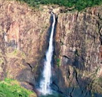 Buujan Quiinbiira Walk Wet Tropics Great Walk - Inverell Accommodation