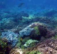 Hoffman's Rocks Dive Site - Inverell Accommodation