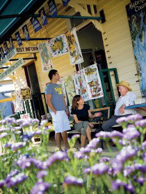 Alpha Petrified Wood - Inverell Accommodation 0