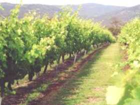 Wyberba QLD Inverell Accommodation