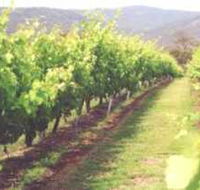 Girraween Estate - Inverell Accommodation