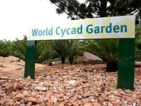Anderson Park Botanic Gardens - Inverell Accommodation 0