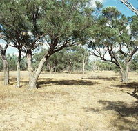 Forest Den National Park - Inverell Accommodation