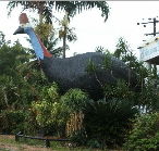 The Big Cassowary - Inverell Accommodation