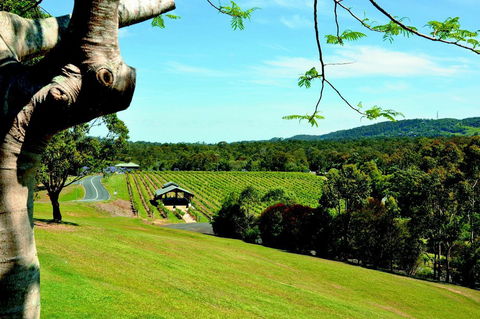 Sirromet Winery - Inverell Accommodation 0