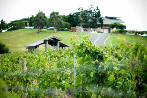 Sirromet Winery - Inverell Accommodation 10