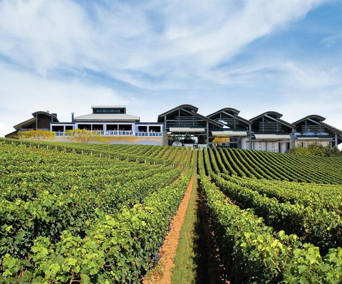 Sirromet Winery - Inverell Accommodation 12