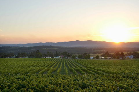 Sirromet Winery - Inverell Accommodation 13