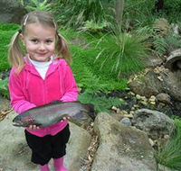Wild Food Farm  Cafe - Inverell Accommodation