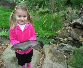 Wild Food Farm & Cafe - Inverell Accommodation 0