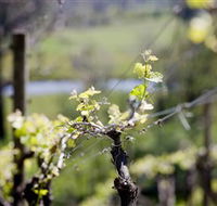 Downing Estate - Inverell Accommodation