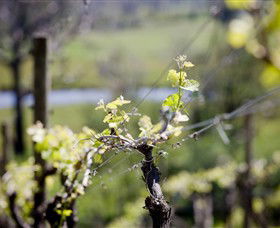 Downing Estate - Inverell Accommodation 0