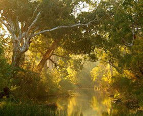 Brimbank Park - Inverell Accommodation 0