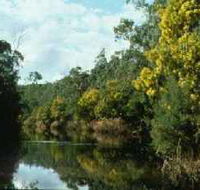 Warrandyte State Park - Inverell Accommodation