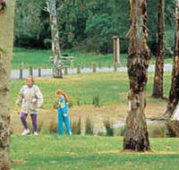 Westerfolds Park - Inverell Accommodation