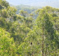 Bunyip State Park - Inverell Accommodation