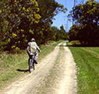 Koomba Park - Inverell Accommodation