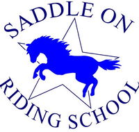 Saddle On Riding School - Inverell Accommodation