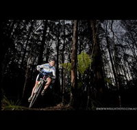 Ride Forrest - Inverell Accommodation